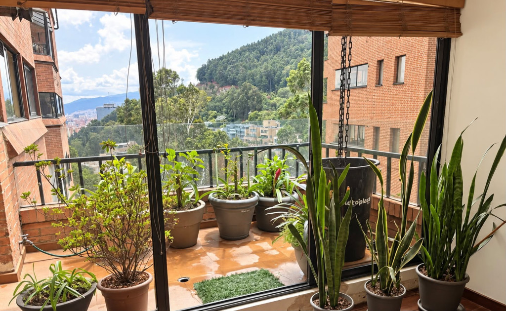 Apartamento en venta en Chicó Alto, Bogotá · foto 5 de 17