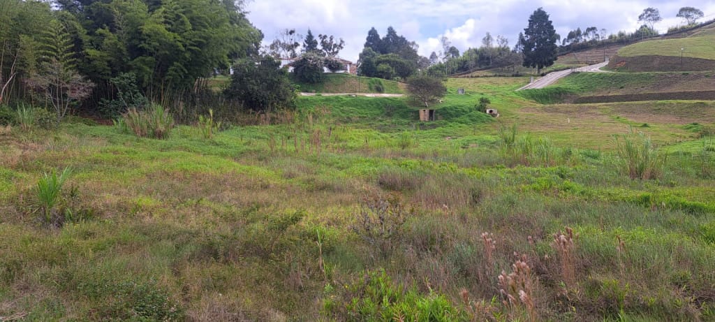 Lote en venta en Centro, Rionegro, 2600 m² · foto 5 de 10