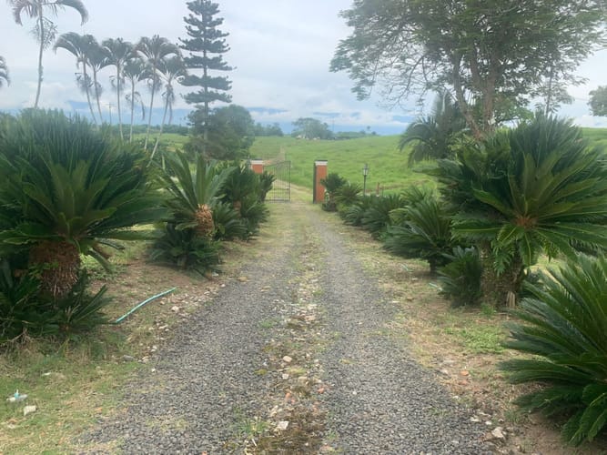 Finca en venta en Armenia, 462 m² · foto 17 de 23