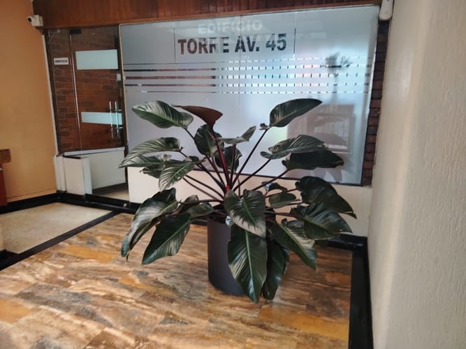 Apartamento de 3 alcobas en venta en Palermo, Bogotá, 179 m² · foto 18 de 24