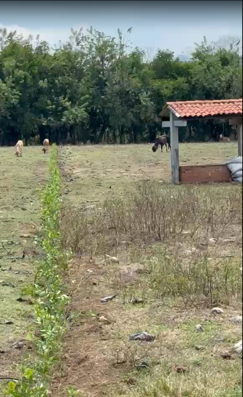 Lote en venta en Porerito, Jamundí, 7000 m² · foto 3 de 10