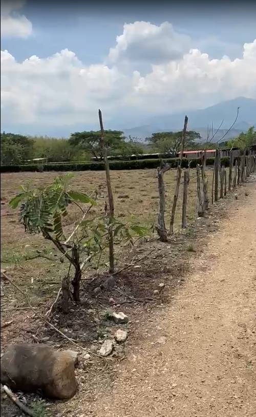 Lote en venta en Porerito, Jamundí, 7000 m² · foto 4 de 10