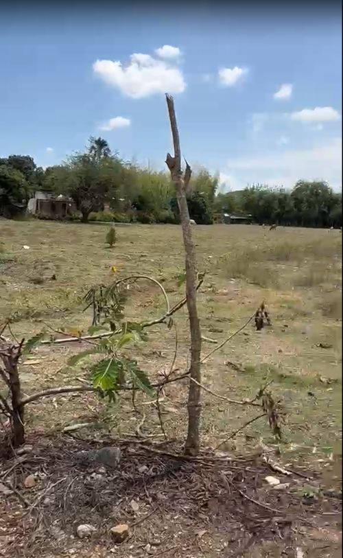 Lote en venta en Porerito, Jamundí, 7000 m² · foto 5 de 10