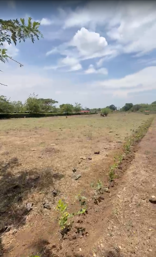 Lote en venta en Porerito, Jamundí, 7000 m² · foto 7 de 10