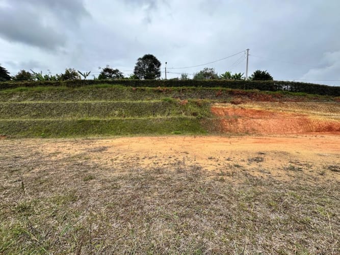 Lote en venta en El Carmen De Viboral, El Carmen de Viboral, 1900 m² · foto 10 de 15