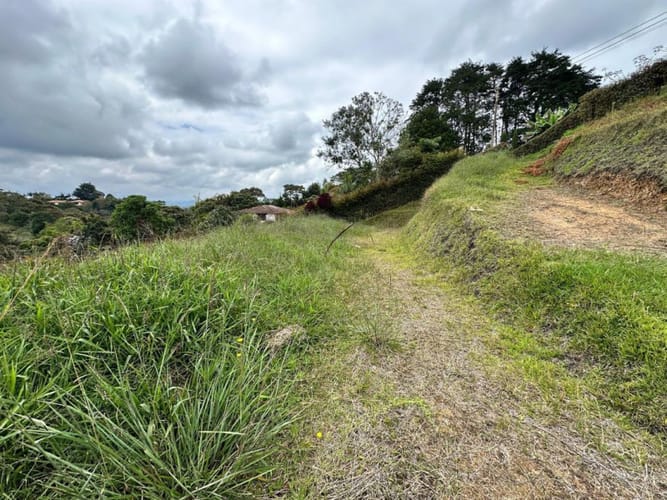 Lote en venta en El Carmen De Viboral, El Carmen de Viboral, 1900 m² · foto 11 de 15