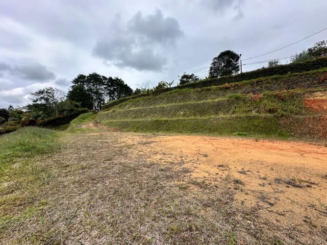 Lote en venta en El Carmen De Viboral, El Carmen de Viboral, 1900 m² · foto 12 de 15