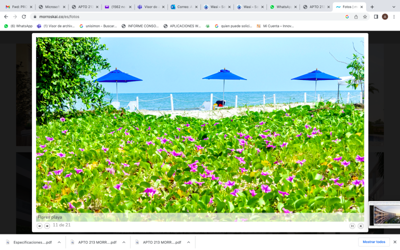 Apartamento en venta en Manzanillo, Cartagena · foto 10 de 16