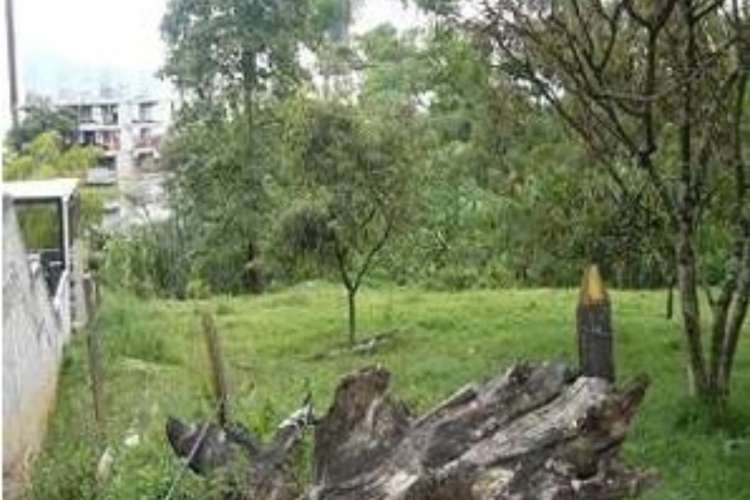 Casa de 10 alcobas en venta en La Ferreira, La Estrella, 100 m² · foto 7 de 8