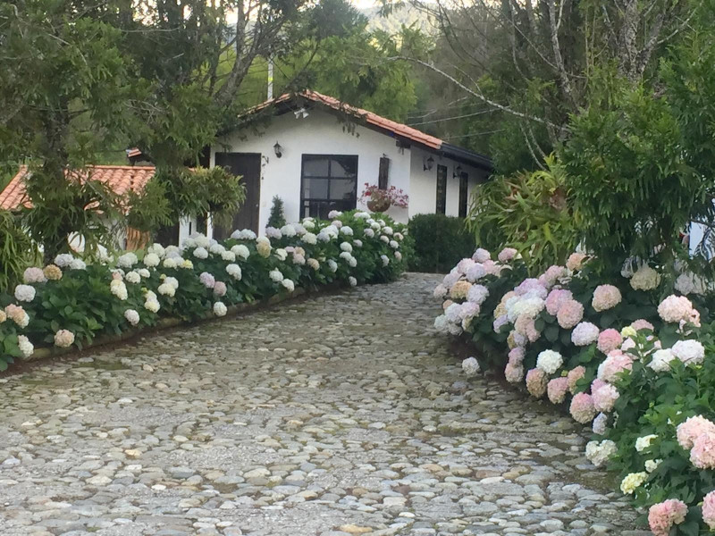 Casa Campestre en Arriendo en El tambo, La ceja en El Tambo