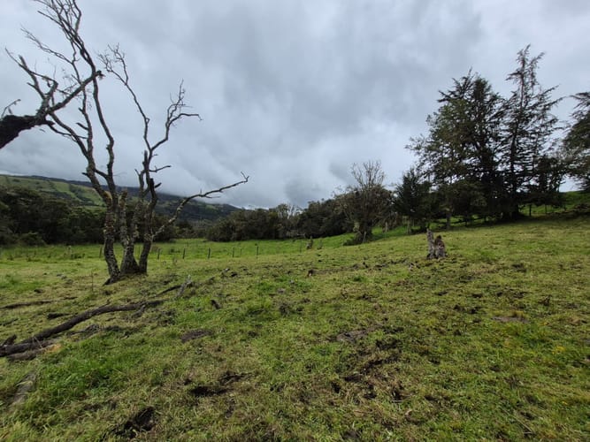 Lote en venta en Centro, La Calera, 5070 m² · foto 3 de 11