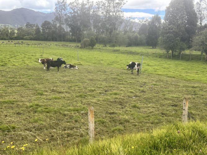 Lote en venta en San Cayetano, La Calera, 4777 m² · foto 5 de 12