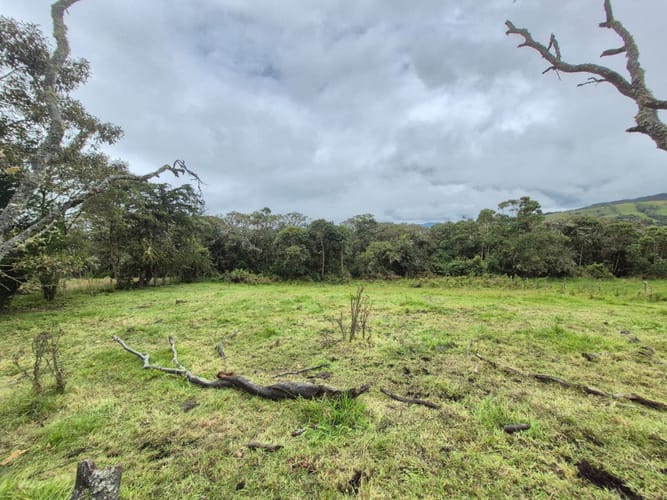 Lote en venta en Centro, La Calera, 5070 m² · foto 5 de 11