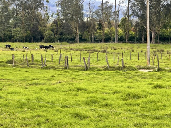 Lote en venta en San Cayetano, La Calera, 4777 m² · foto 6 de 12