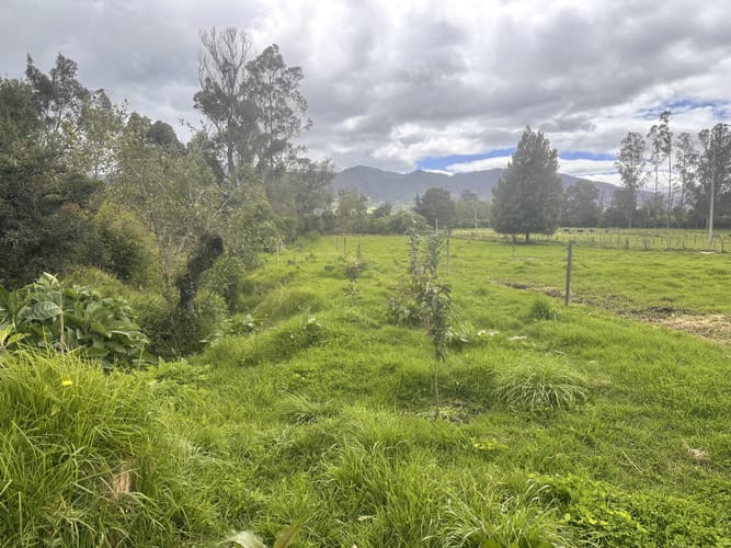 Lote en venta en San Cayetano, La Calera, 4777 m² · foto 8 de 12