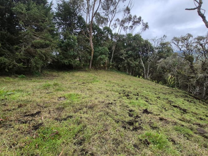 Lote en venta en Centro, La Calera, 5070 m² · foto 8 de 11