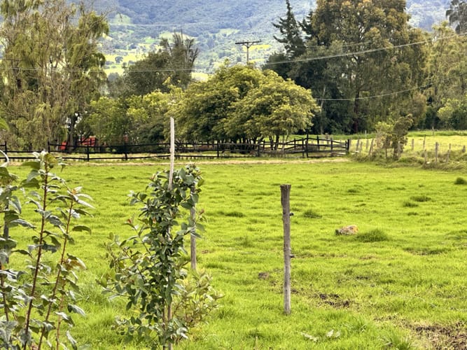 Lote en venta en San Cayetano, La Calera, 4777 m² · foto 9 de 12