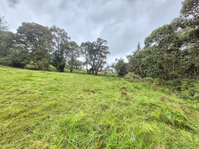 Lote en venta en Centro, La Calera, 5070 m² · foto 9 de 11