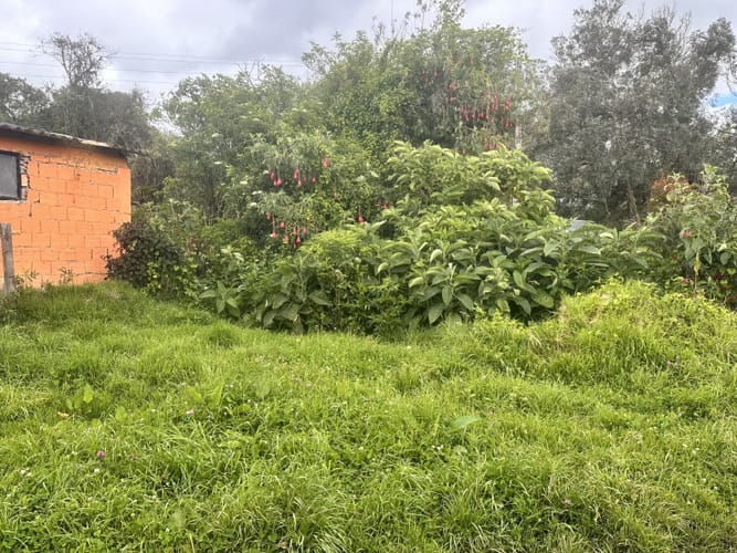 Lote en venta en San Cayetano, La Calera, 10097 m² · foto 4 de 9