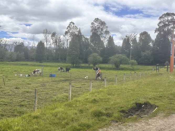 Lote en venta en San Cayetano, La Calera, 10097 m² · foto 5 de 9