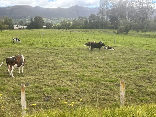 Lote en venta en San Cayetano, La Calera, 10097 m² · foto 8 de 9