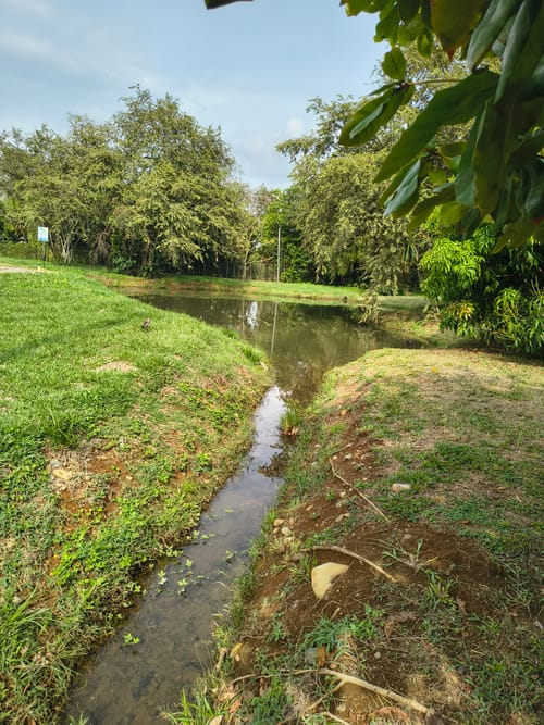 Lote en venta en Las Mercedes, Jamundí, 225 m² · foto 17 de 20