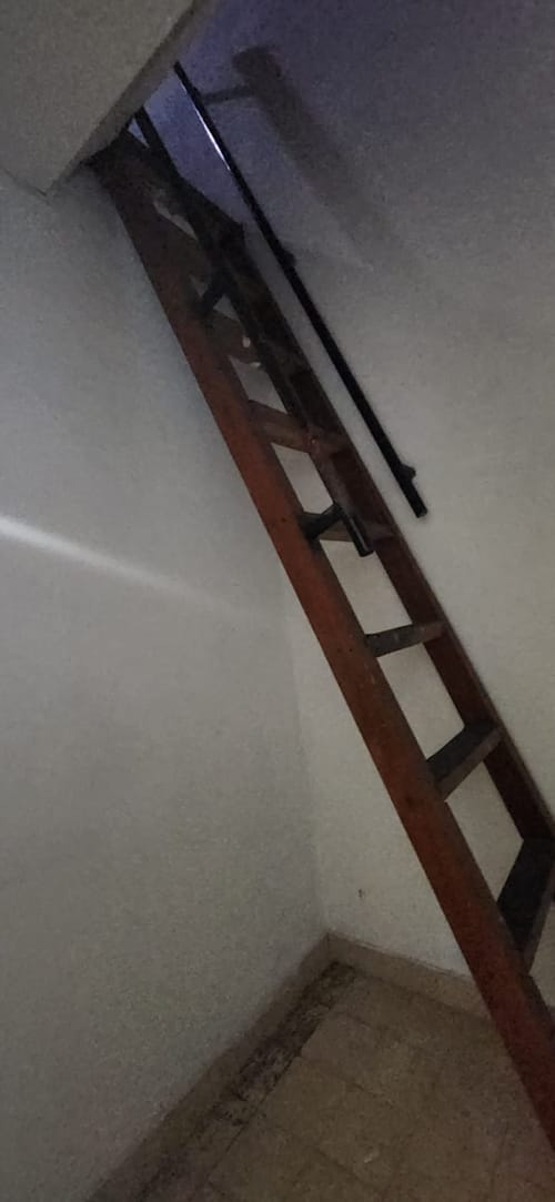Local en arriendo en Popular, Cúcuta, 25 m² · foto 6 de 6