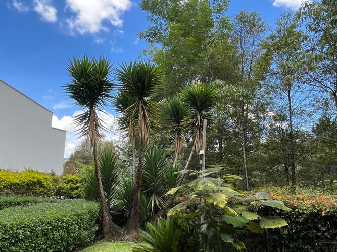 Casa de 3 alcobas en venta en Santa Elena, El Retiro, 265 m² · foto 20 de 24
