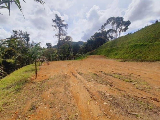 Lote en venta en El Tambo, Rionegro, 4402 m² · foto 4 de 19