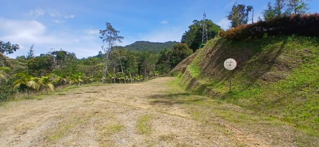 Lote en venta en El Tambo, Rionegro, 4402 m² · foto 5 de 19