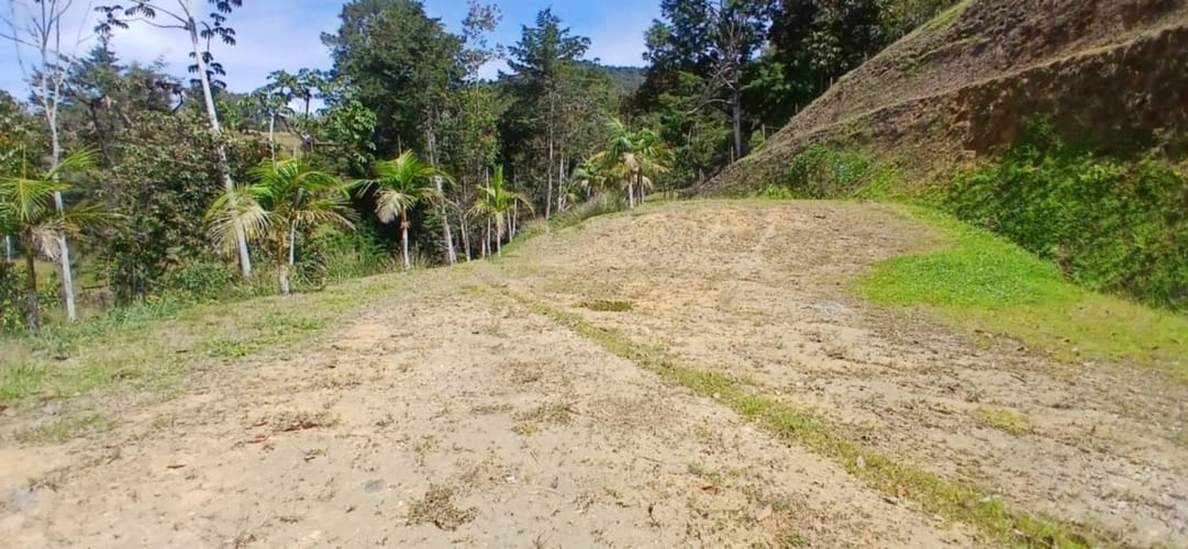 Lote en venta en El Tambo, Rionegro, 4402 m² · foto 9 de 19
