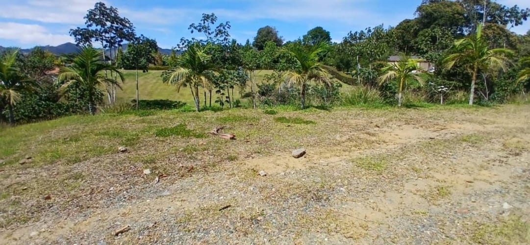Lote en venta en El Tambo, Rionegro, 4402 m² · foto 18 de 19