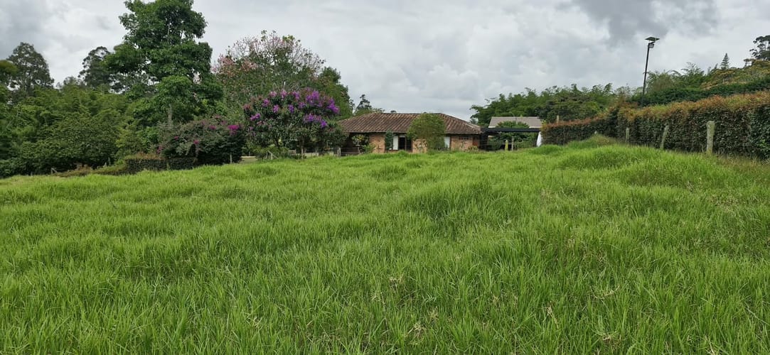 Lote en venta en Santa Ana, Rionegro, 3311 m² · foto 3 de 16