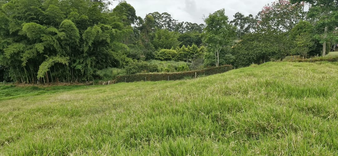 Lote en venta en Santa Ana, Rionegro, 3311 m² · foto 4 de 16