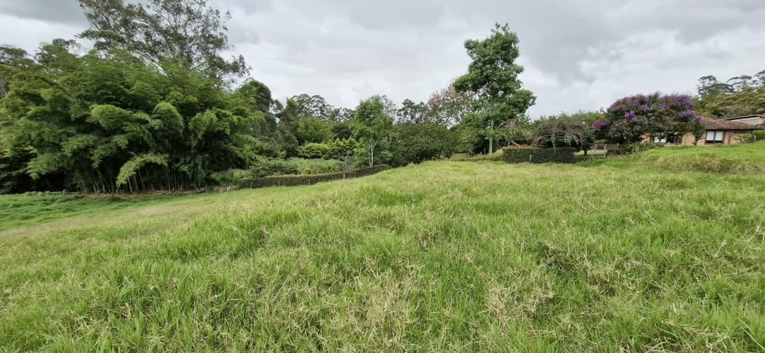 Lote en venta en Santa Ana, Rionegro, 3311 m² · foto 8 de 16