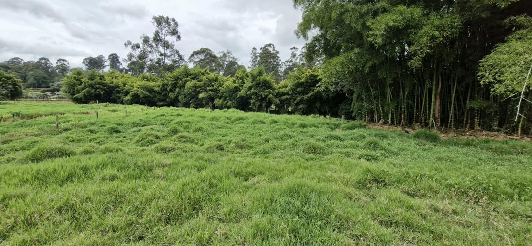 Lote en venta en Santa Ana, Rionegro, 3311 m² · foto 16 de 16