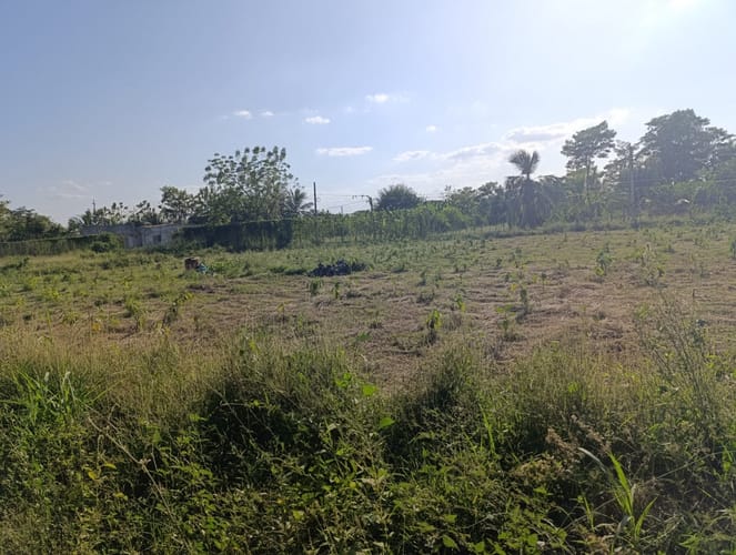Lote en venta en El Faro, Montería, 993 m² · foto 8 de 12