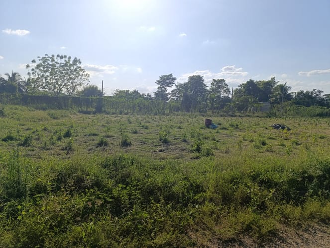 Lote en venta en El Faro, Montería, 993 m² · foto 9 de 12