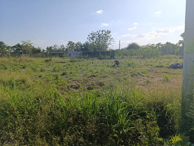 Lote en venta en El Faro, Montería, 993 m² · foto 10 de 12
