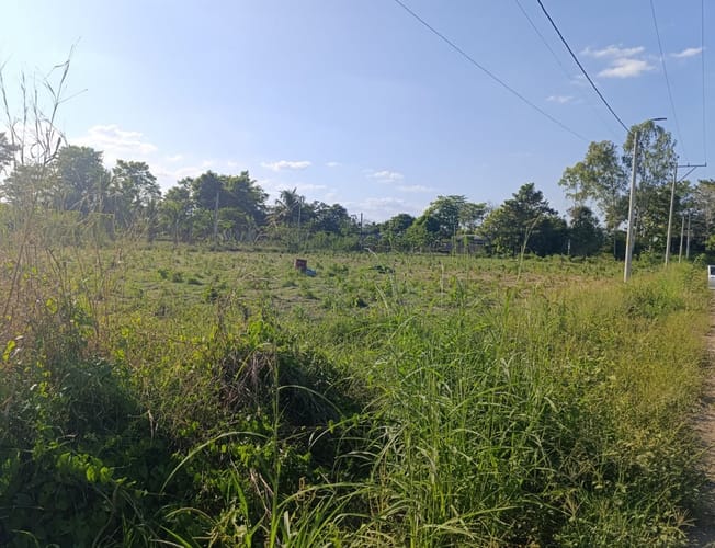 Lote en venta en El Faro, Montería, 993 m² · foto 11 de 12