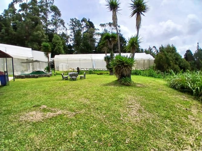 Finca en venta en Piedras Blancas, Guarne, 7000 m² · foto 2 de 10