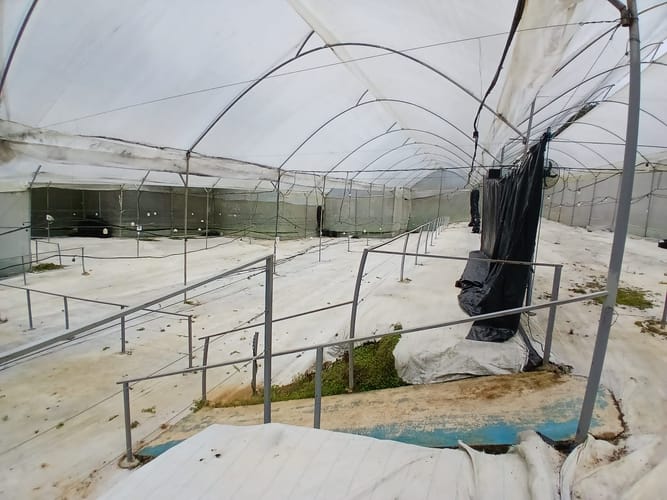 Finca en venta en Piedras Blancas, Guarne, 7000 m² · foto 4 de 10