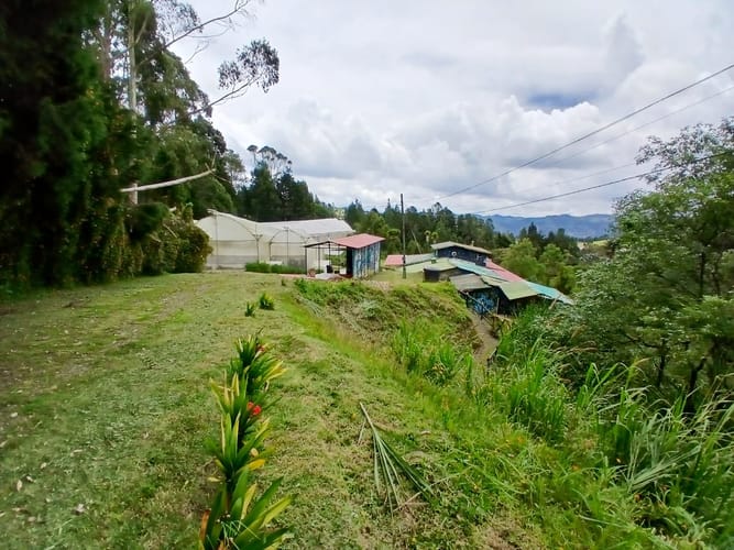 Finca en venta en Piedras Blancas, Guarne, 7000 m² · foto 5 de 10