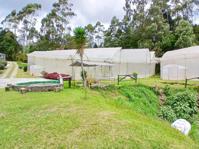 Finca en venta en Piedras Blancas, Guarne, 7000 m² · foto 10 de 10