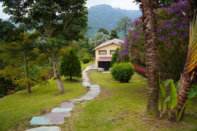 Finca en venta en La Florida, Pereira, 620 m² · foto 9 de 19