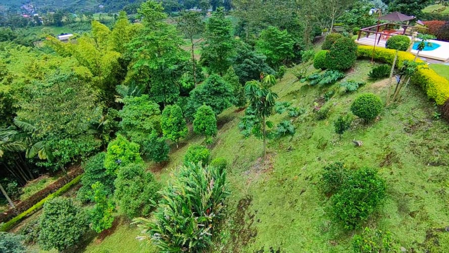 Finca en venta en La Florida, Pereira, 620 m² · foto 19 de 19