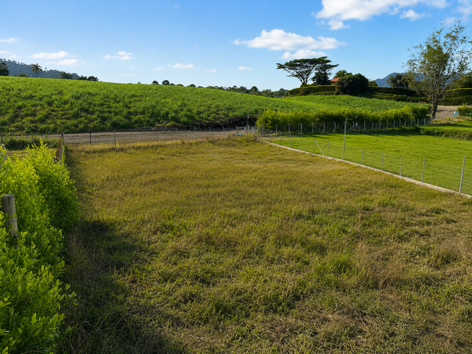 Lote en venta en Combia Baja, Pereira, 1500 m² · foto 3 de 10