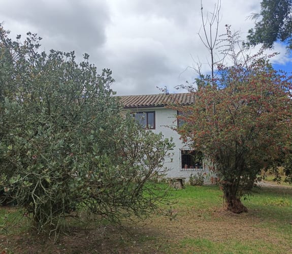 Casa de 3 alcobas en venta en Fonquetá, Chía · foto 4 de 24