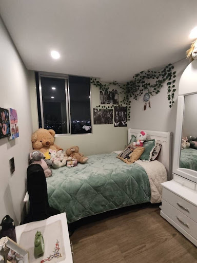 Apartamento en venta en Libertador, Bogotá · foto 11 de 20