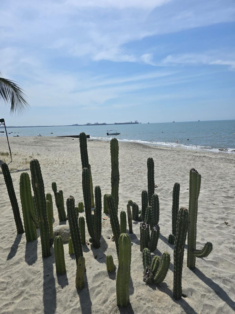 Apartamento en venta en Don Jaca, Santa Marta · foto 15 de 15
